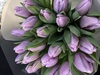 25 лавандовых тюльпанов 💜 - Доставка цветов в Екатеринбурге